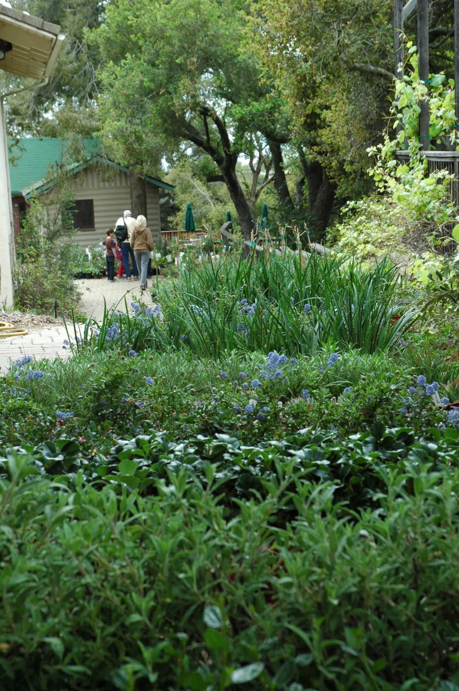 Spring Plant Sale 2012