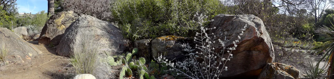 panorama, Desert Section, Santa Barbara Botanic Garden