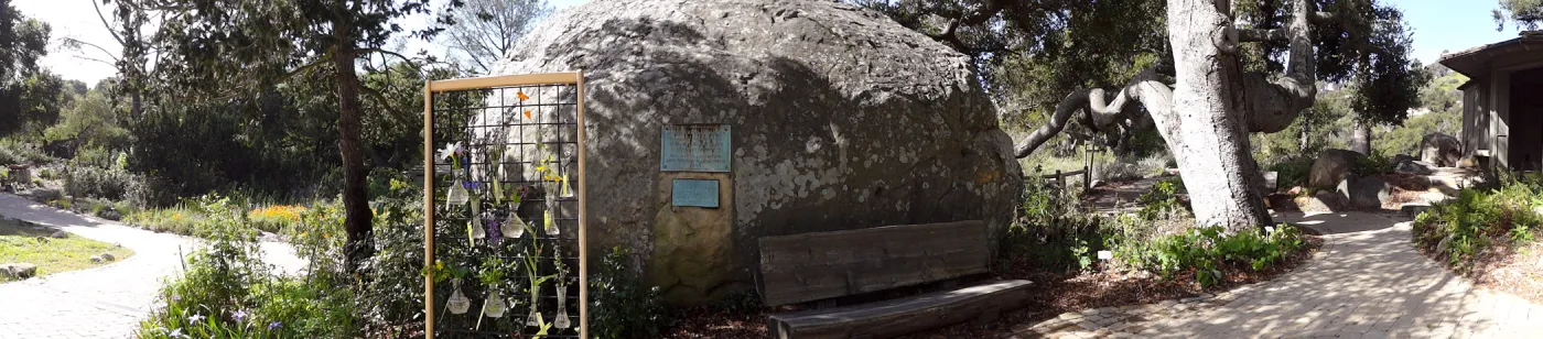 Blaskley Boulder, wildflowers on display, panorama