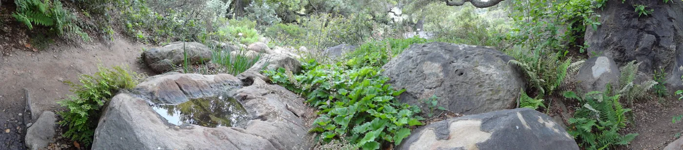 rock pool, Manzanita Section, panorama