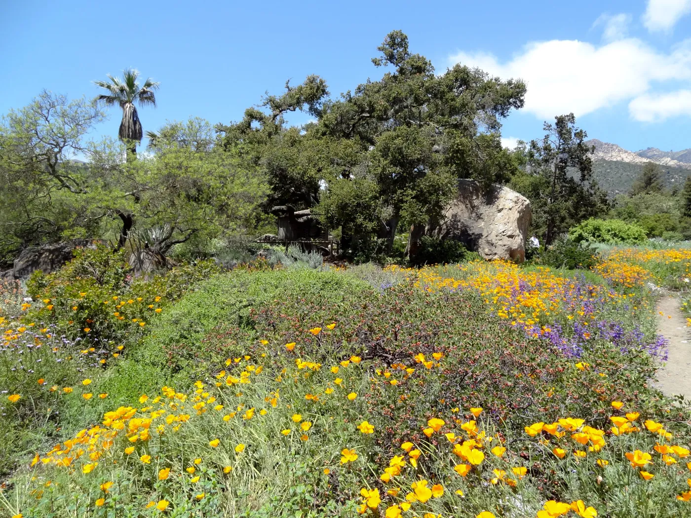 Meadow, Blaksley Boulder, la Cumbre Peak