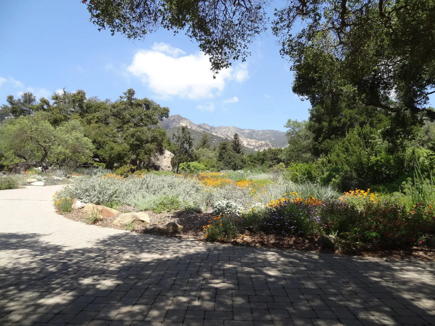view of Meadow to the mountains, 