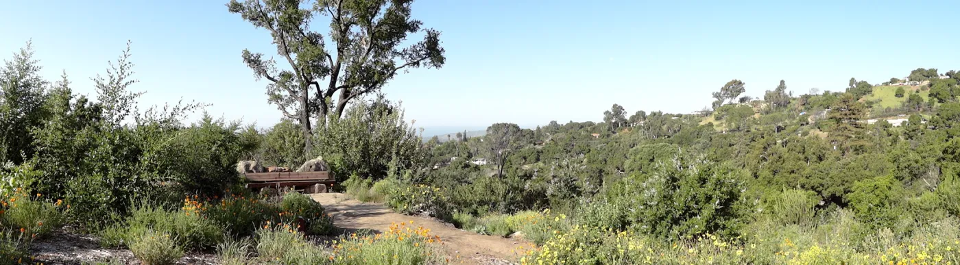 new wood on Mr. and Mrs. William Stratton Porter Bench (bench #64) on Porter Trail, 3 years after the Jesusita Fire, panorama