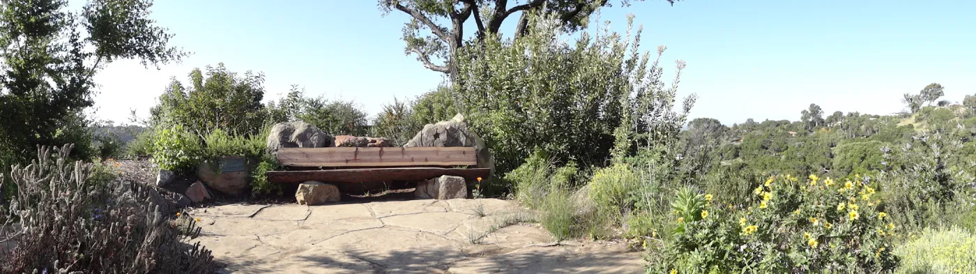 new wood on Mr. and Mrs. William Stratton Porter Bench (bench #64) on Porter Trail, 3 years after the Jesusita Fire, panorama