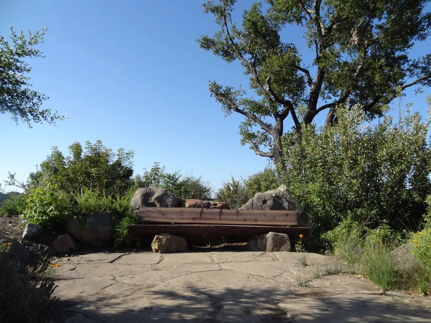 new wood Mr. and Mrs. William Stratton Porter Bench (bench #64) on Porter Trail, 3 years after the Jesusita Fire
