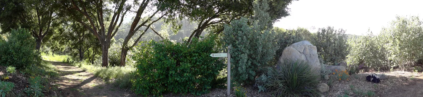 trail to Natural Area, east slope, panorama