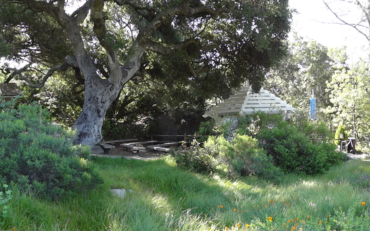 lower Meadow, amphitheater seating behind Entrance Kiosk
