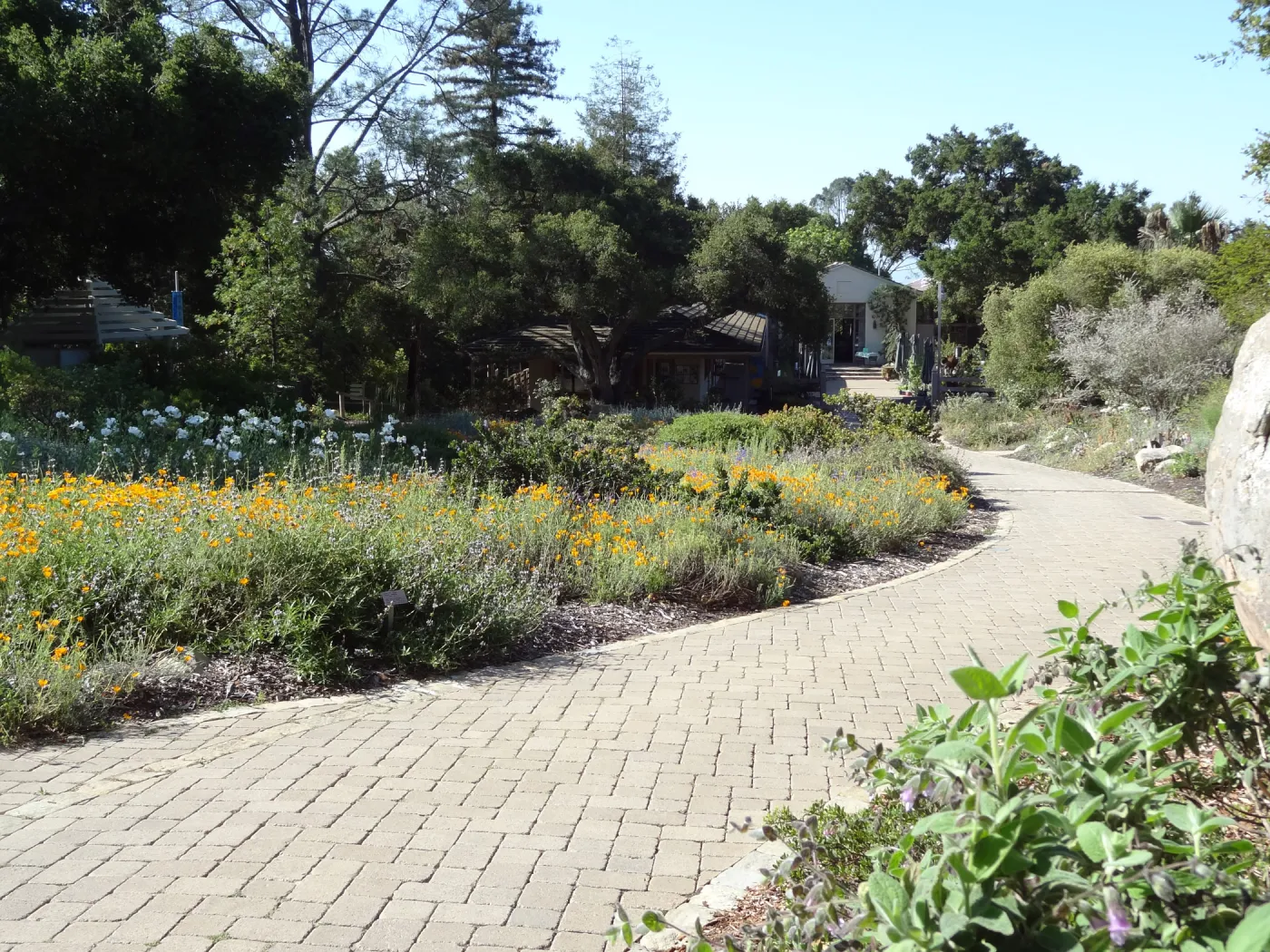 lower Meadow, view to Gift Shop and Blakelsy Library