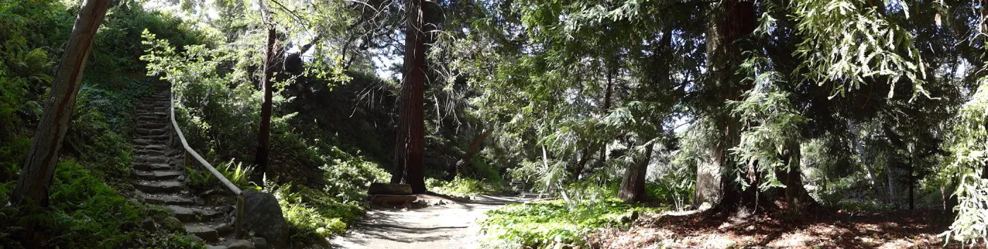 Indian Steps, Redwood Section, panorama