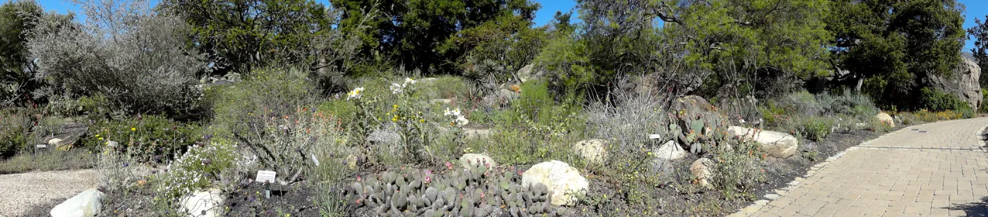 Desert Section, panorama