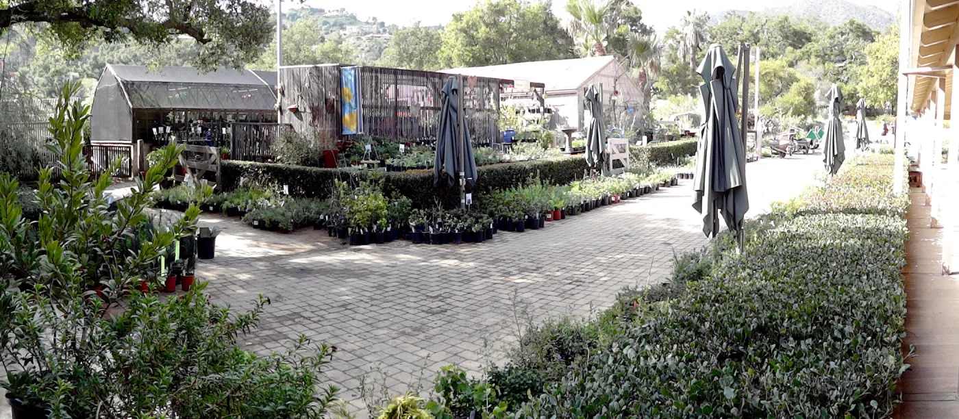 Garden Growers Nursery, Courtyard, panorama, SBBG Spring Plant Sale 2012