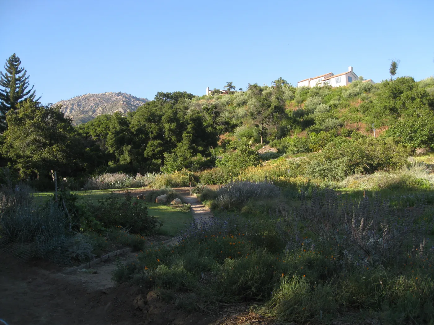 Looking east across upper Meadow to Maloy house on ridge