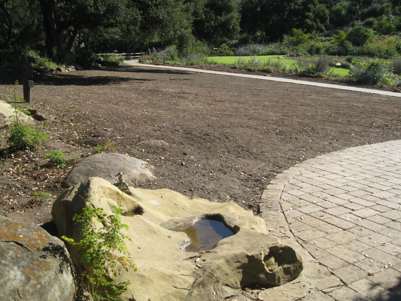 Meadow terrace after deconstruction