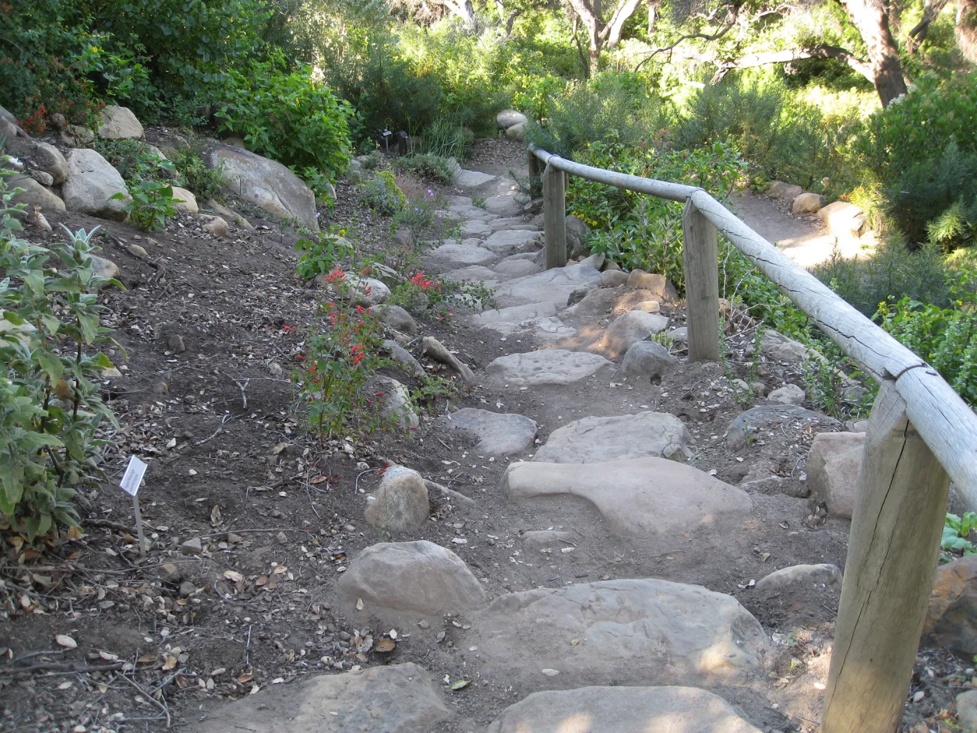 Steps down Campbell Trail