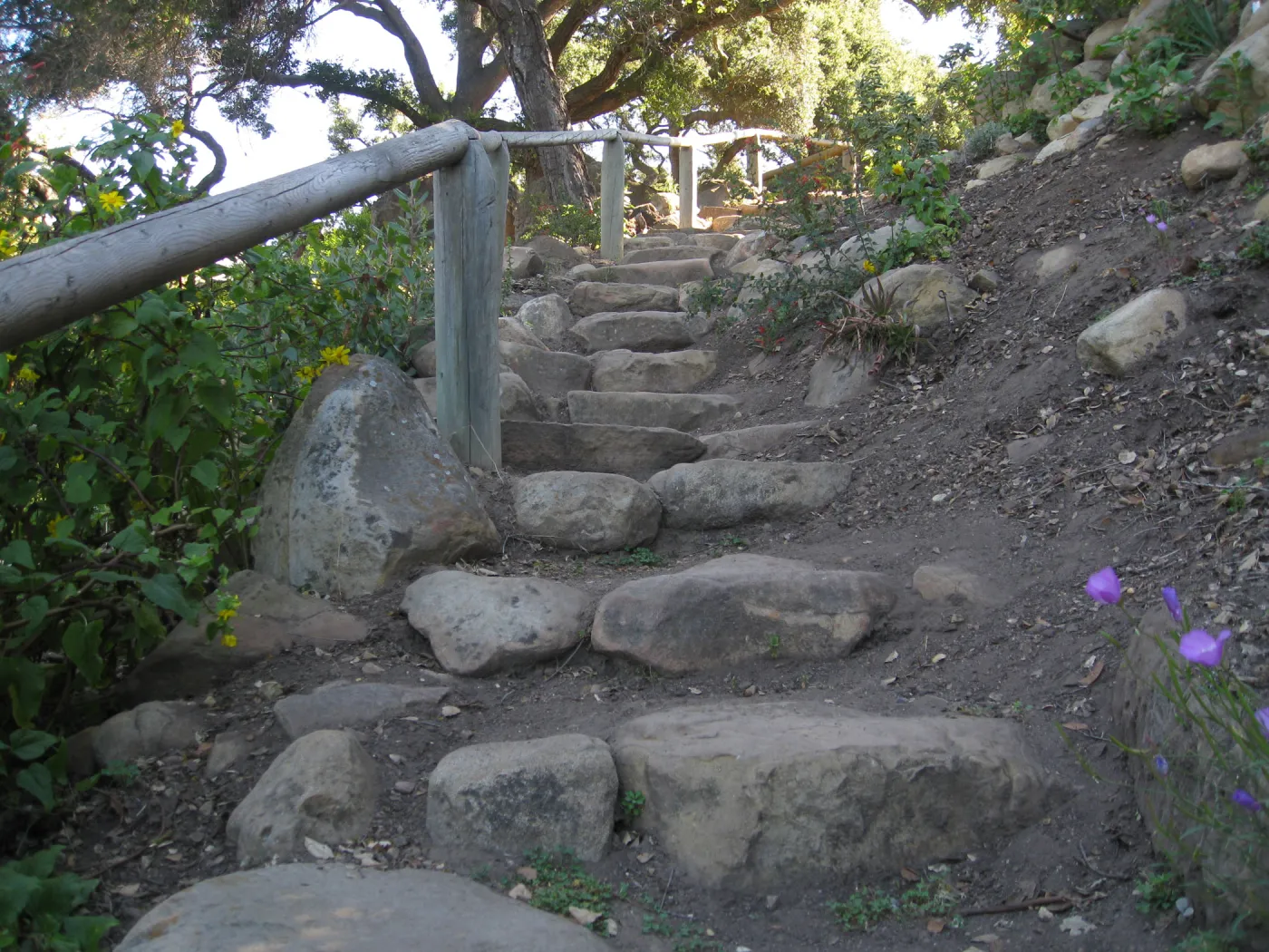 Steps down Campbell Trail