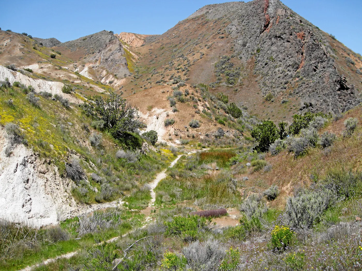 Padrones Canyon, Carrizo Plain