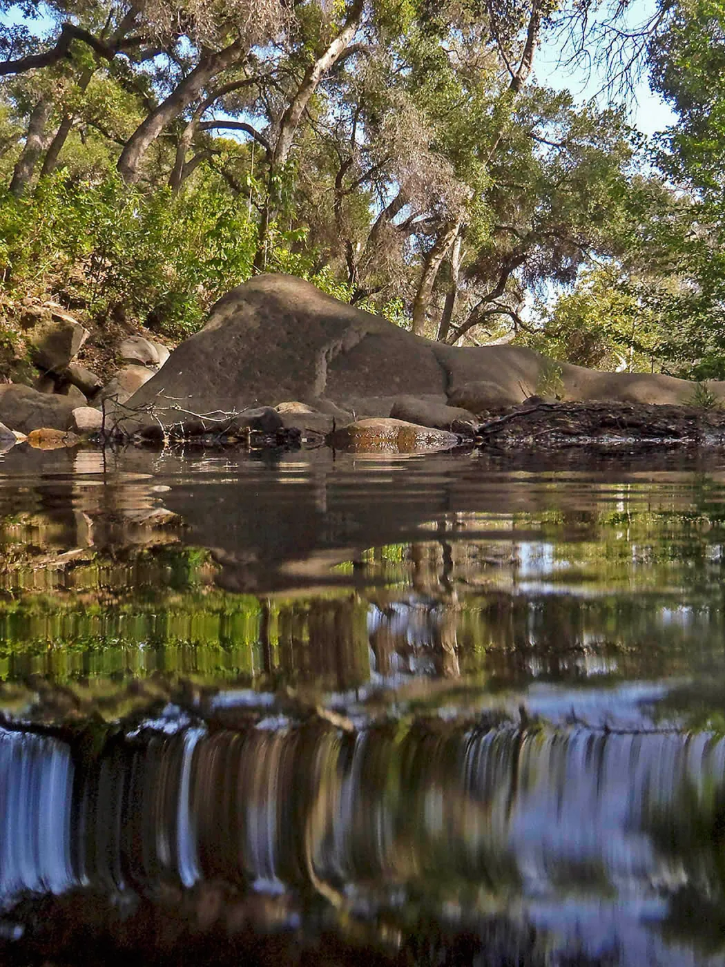 Mission Creek, National Public Gardens Day, tour at SBBG
