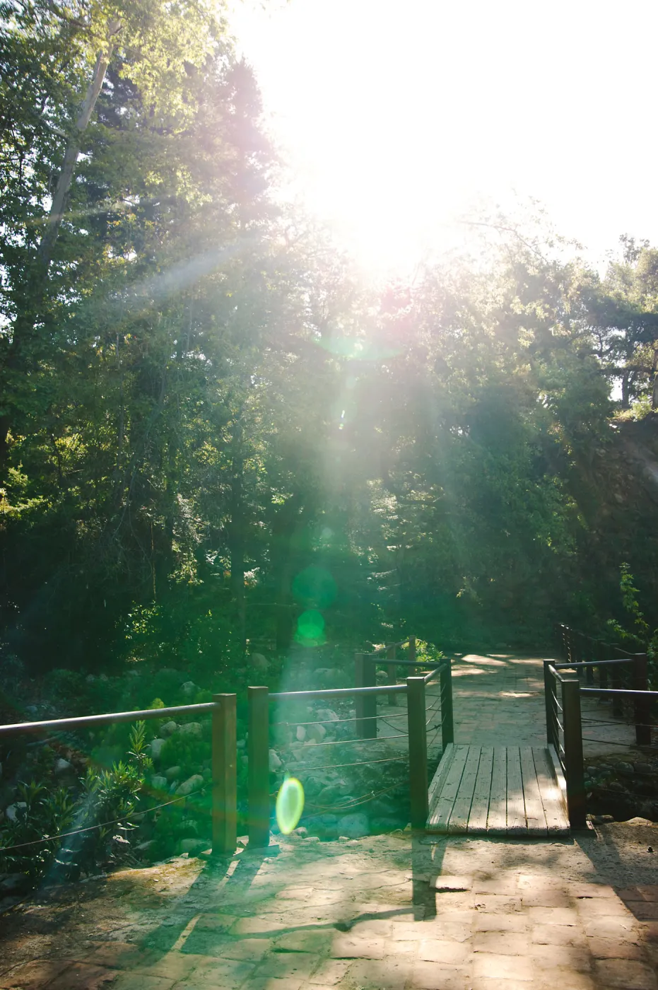 SBBG Spring 2012, Â©ZstheDayPhotography