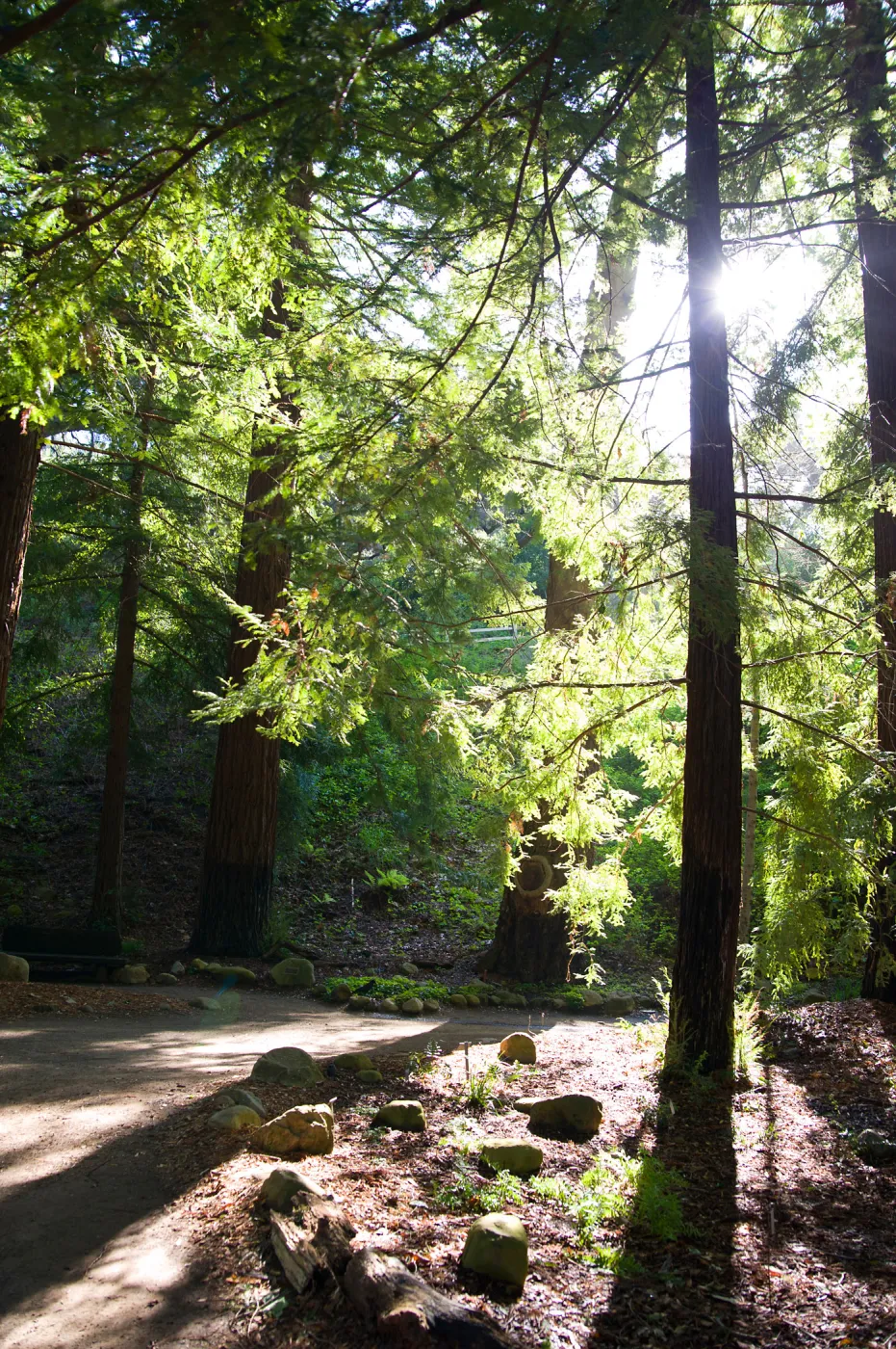 SBBG Spring 2012, Â©ZstheDayPhotography