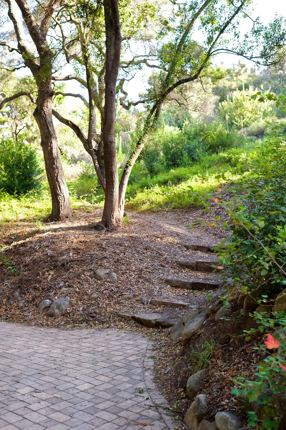 North terminus of the Woodland Trail