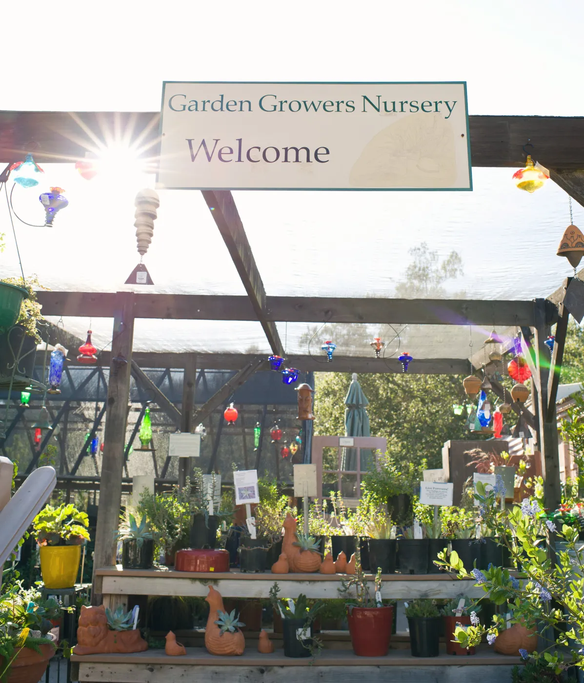 SBBG Spring 2012, Â©ZstheDayPhotography