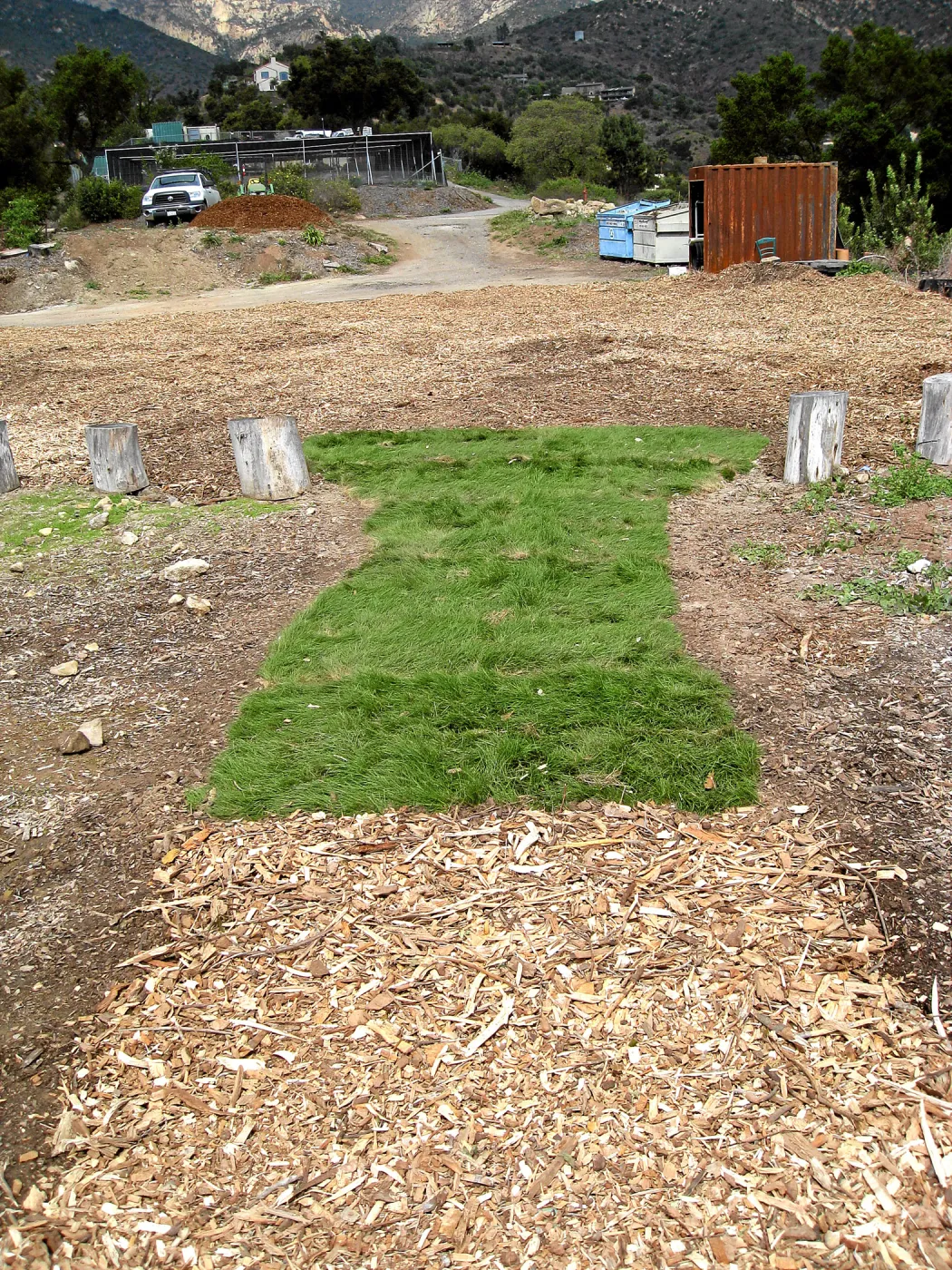 Native sod demonstration at Gane House site