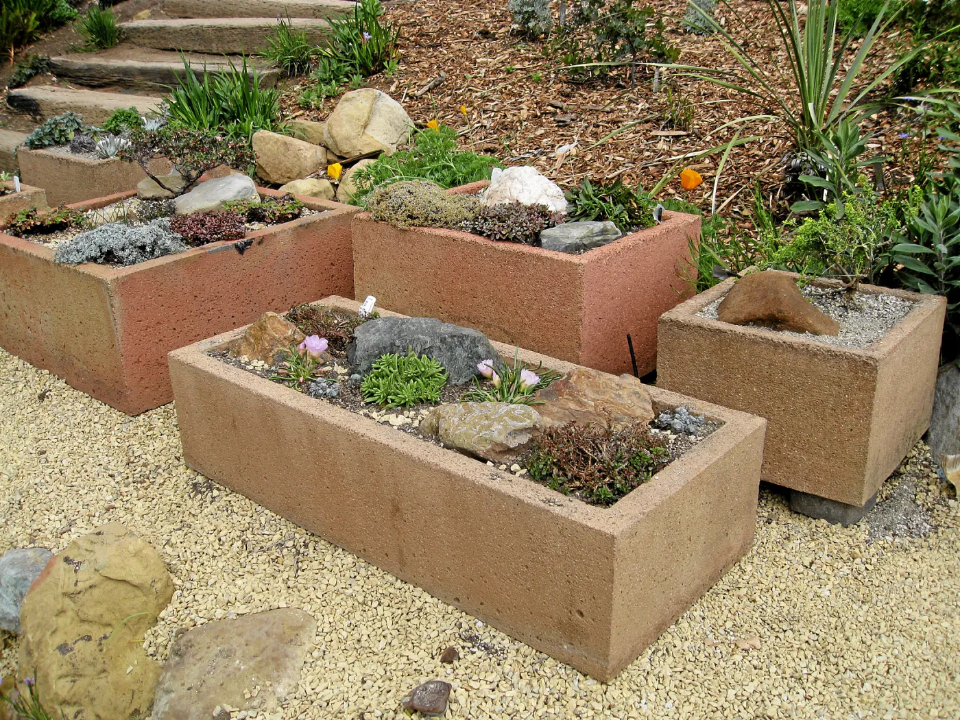 New trough gardens in the Meadow View
