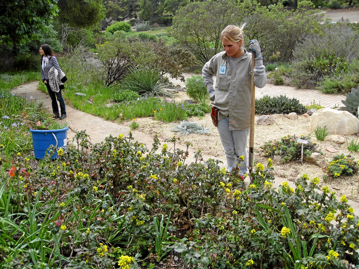 Leita Lord with Berberis in the Meadow View