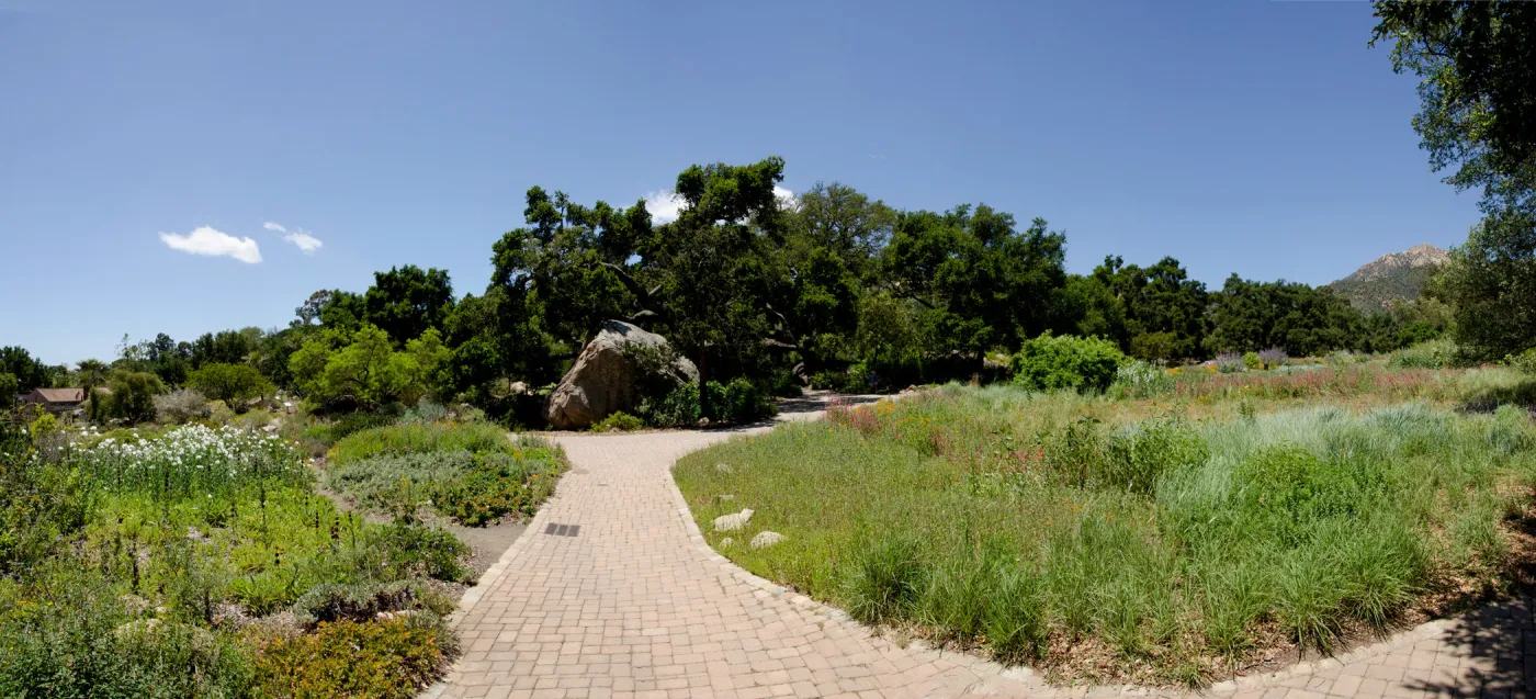 Blaksley Boulder and Meadow panorama