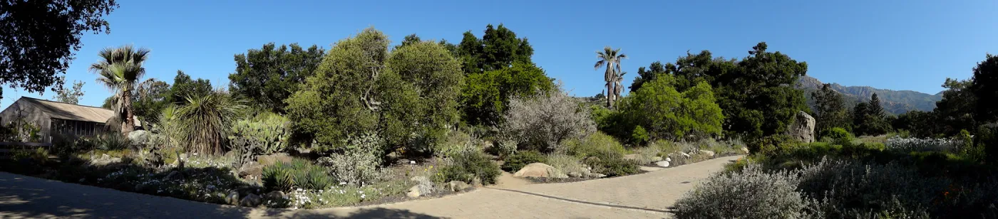 Entrance panorama, Garden Growers Lathe House to the Blaksley Boulder, Desert Section panorama