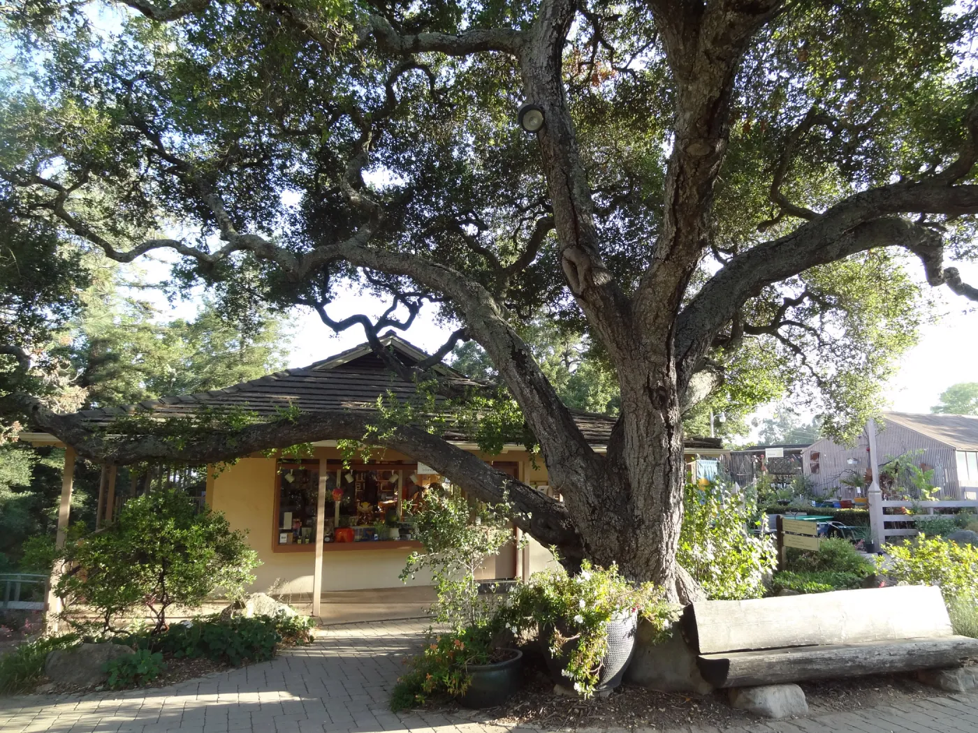 North wing, Garden Shop and Garden Entrance oak
