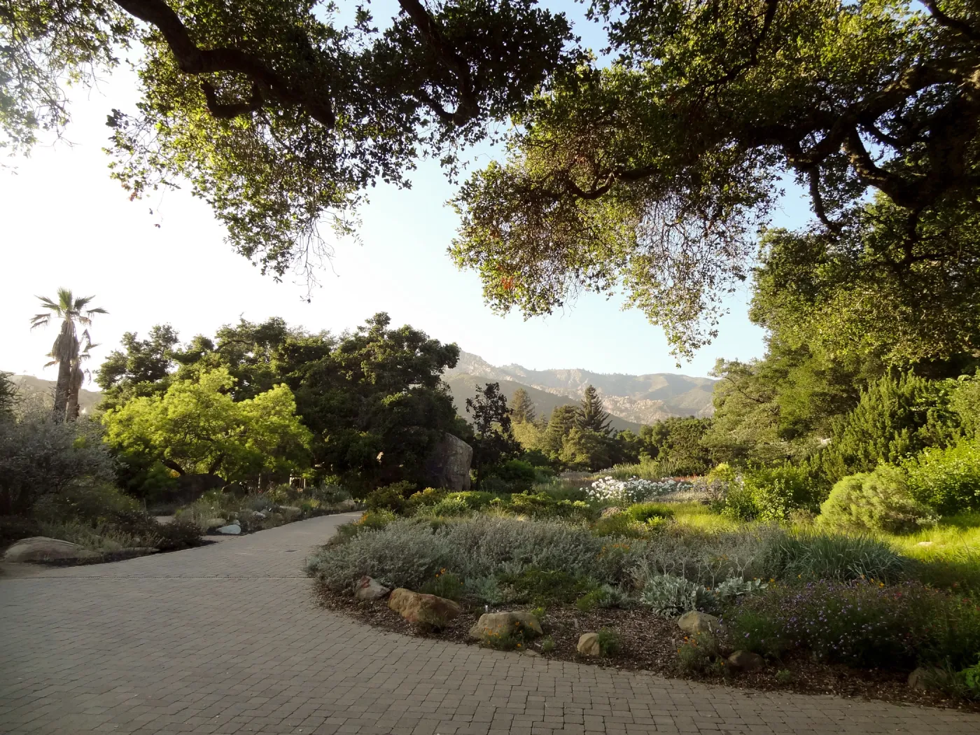 Garden view at sunset