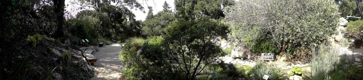Arroyo Section panorama