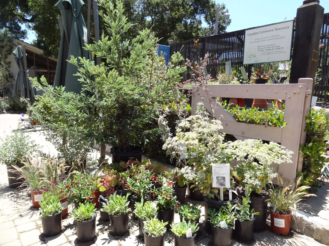 Garden Growers Nursery, potted plants for sale