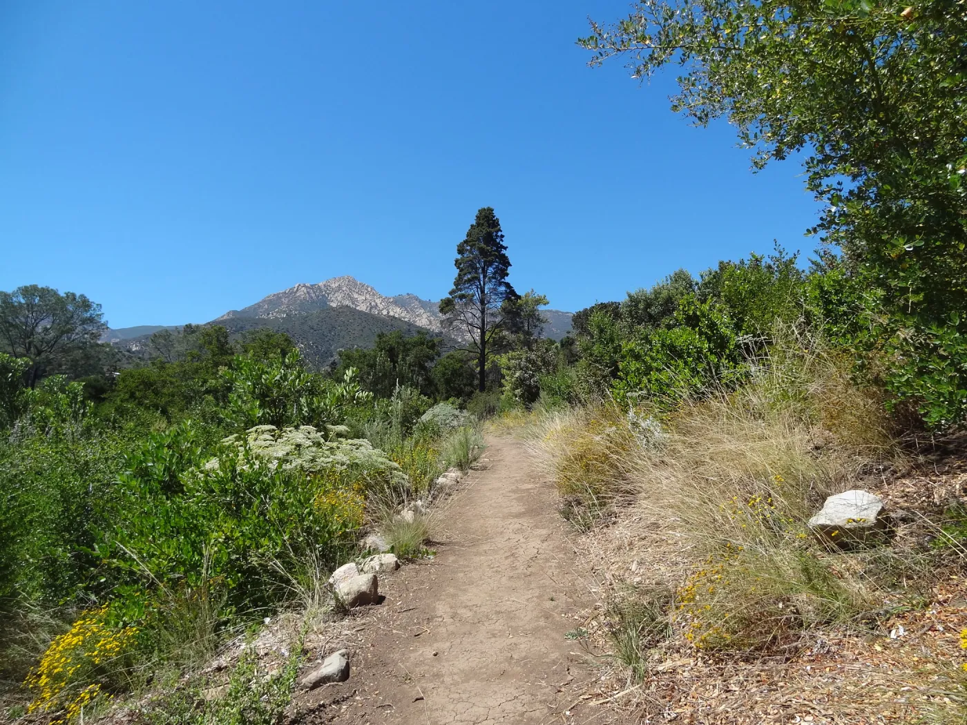 Porter Trail, La Cumbre Peak in distance
