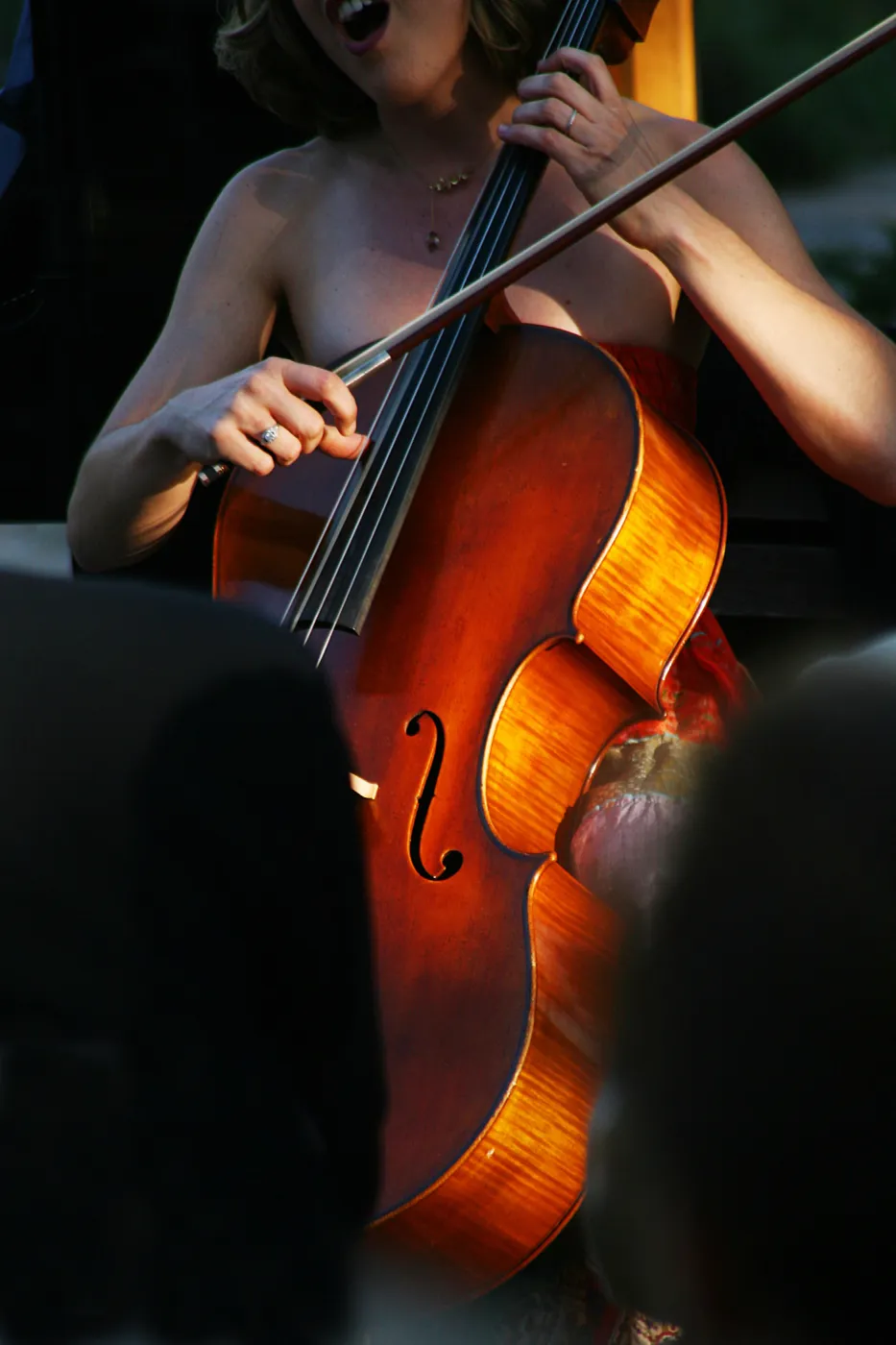 musicians, Rose and Nightingale concert in the Garden event
