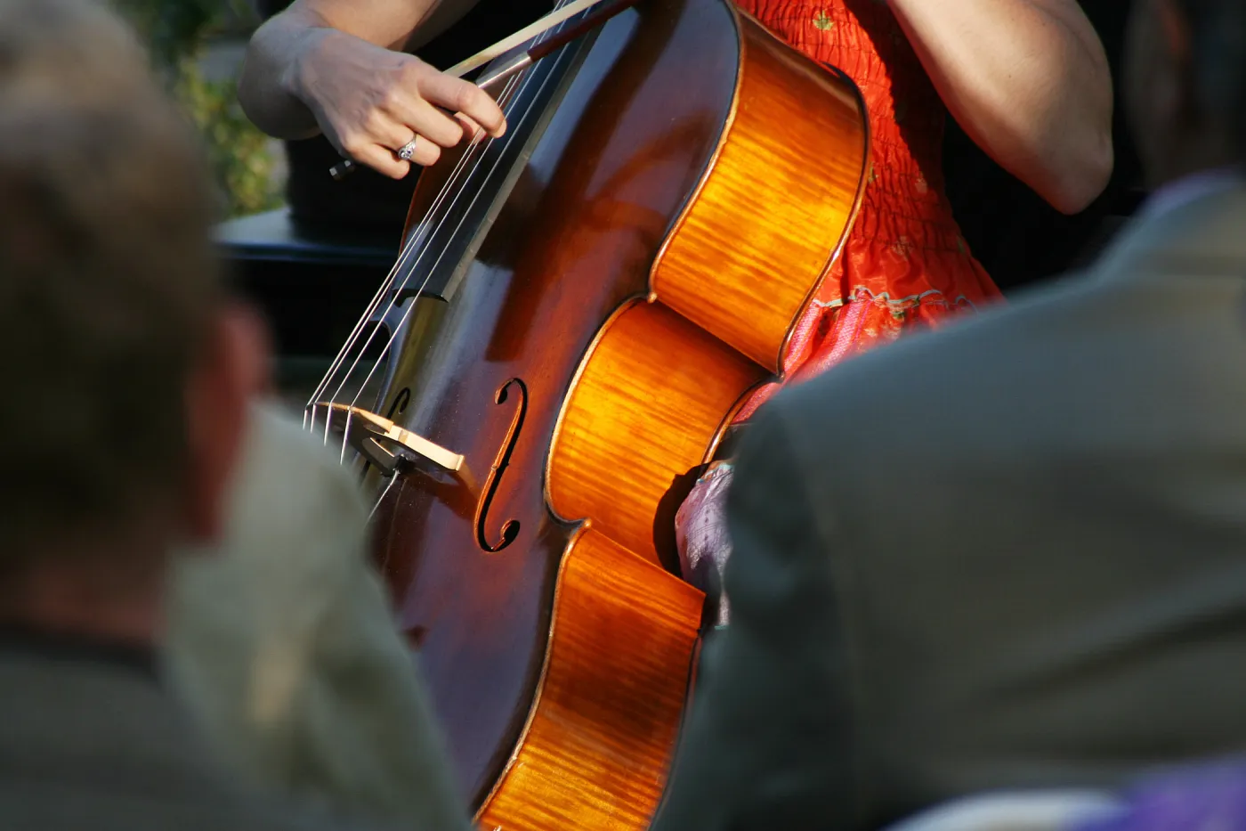 musicians, Rose and Nightingale concert in the Garden event