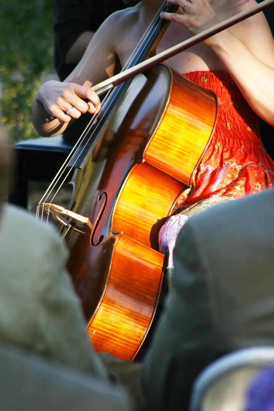 musicians, Rose and Nightingale concert in the Garden event