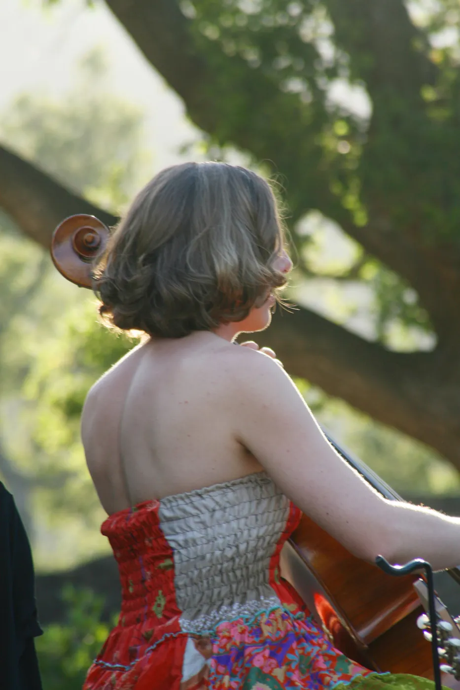 musicians, Rose and Nightingale concert in the Garden event