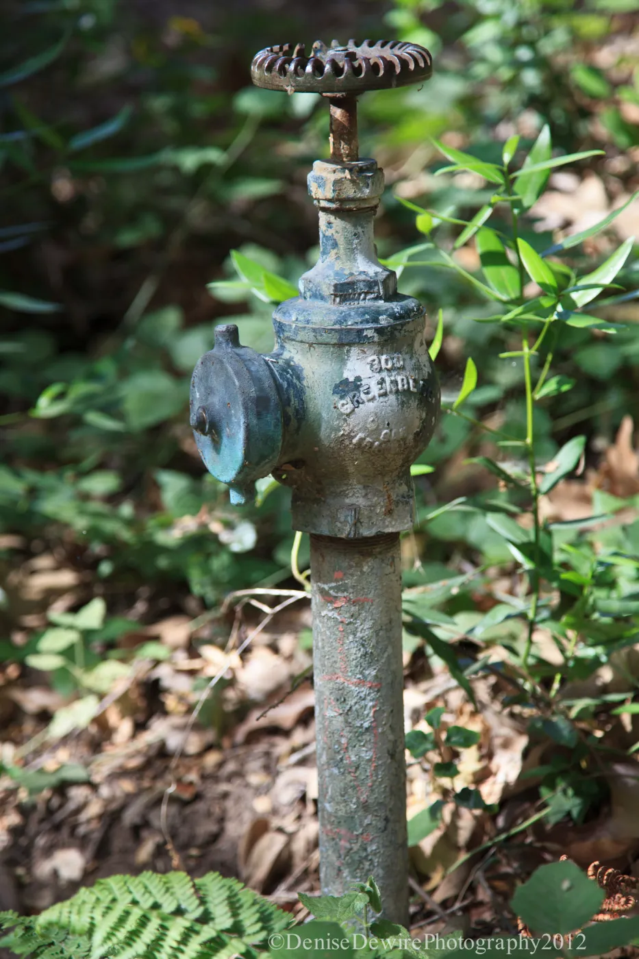 Faucet valve, Irrigation