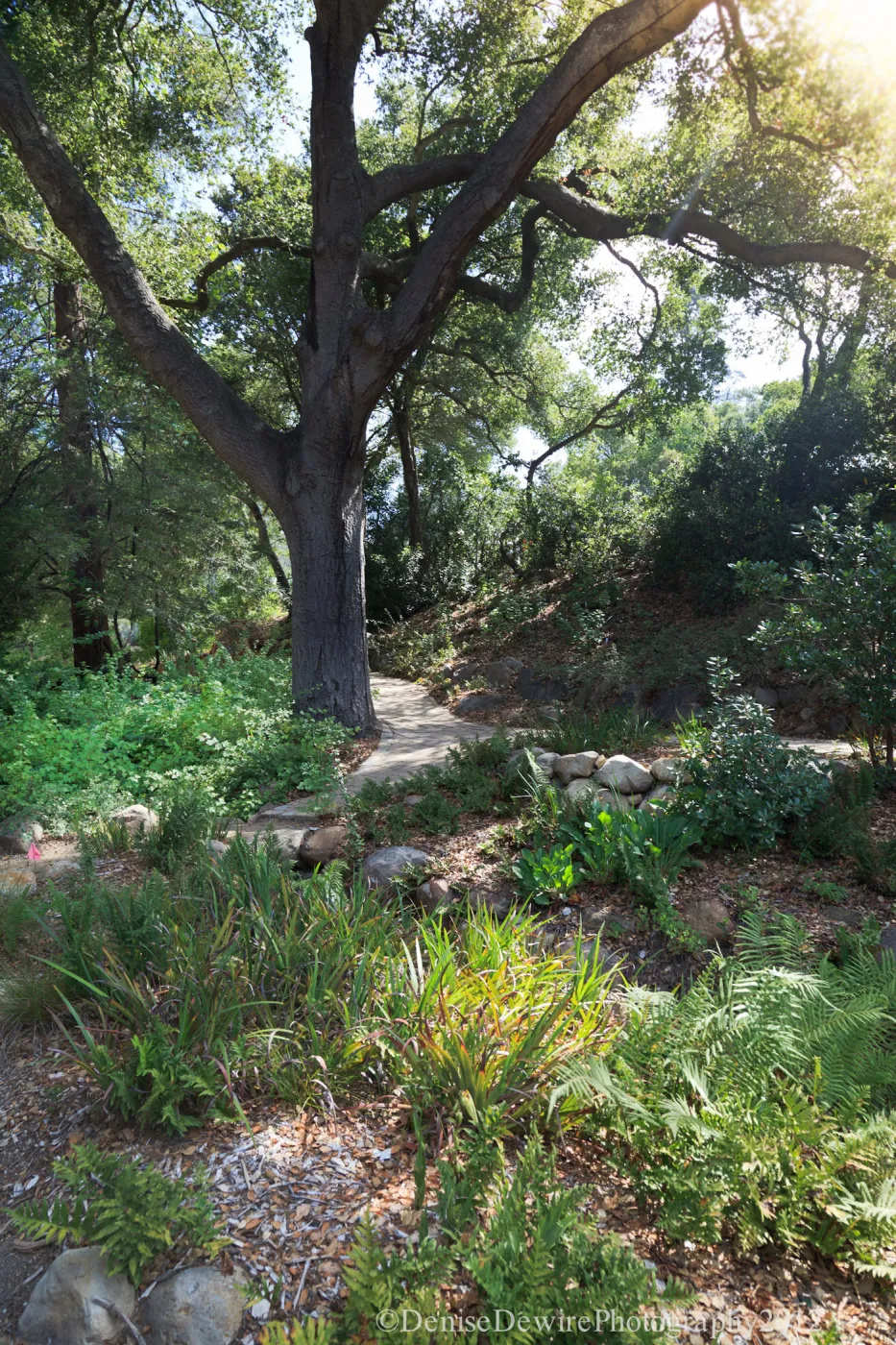Arroyo Section