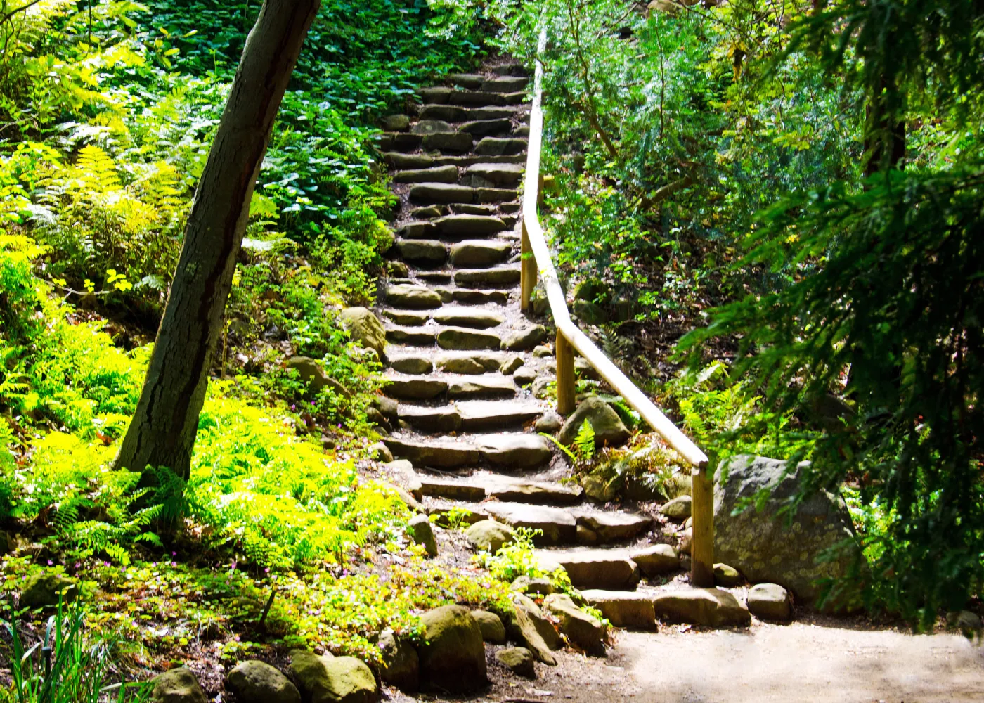 Indian Steps, SBBG Photo Contest 2012