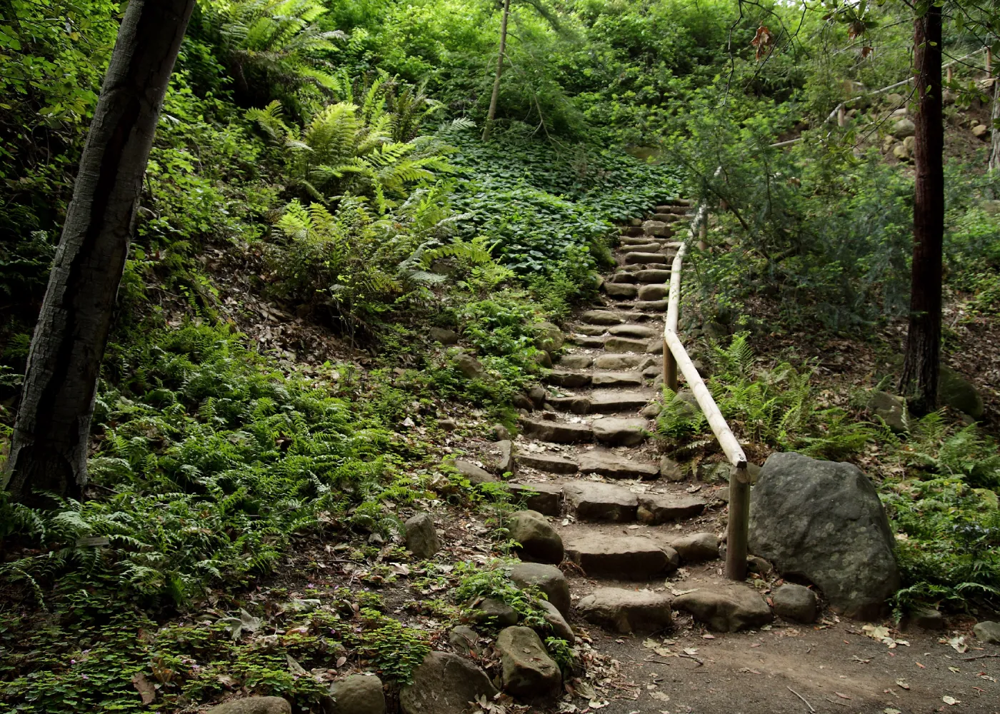 Indian Steps, SBBG Photo Contest 2012