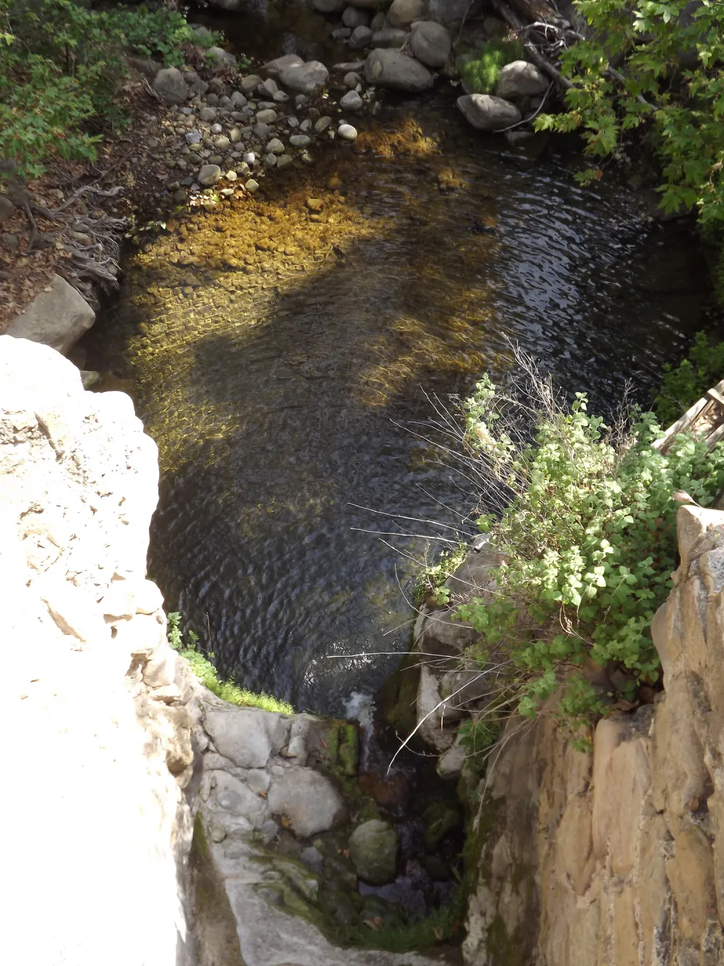 looking down to the pool beneath the Mission Dam, SBBG Photo Contest 2012