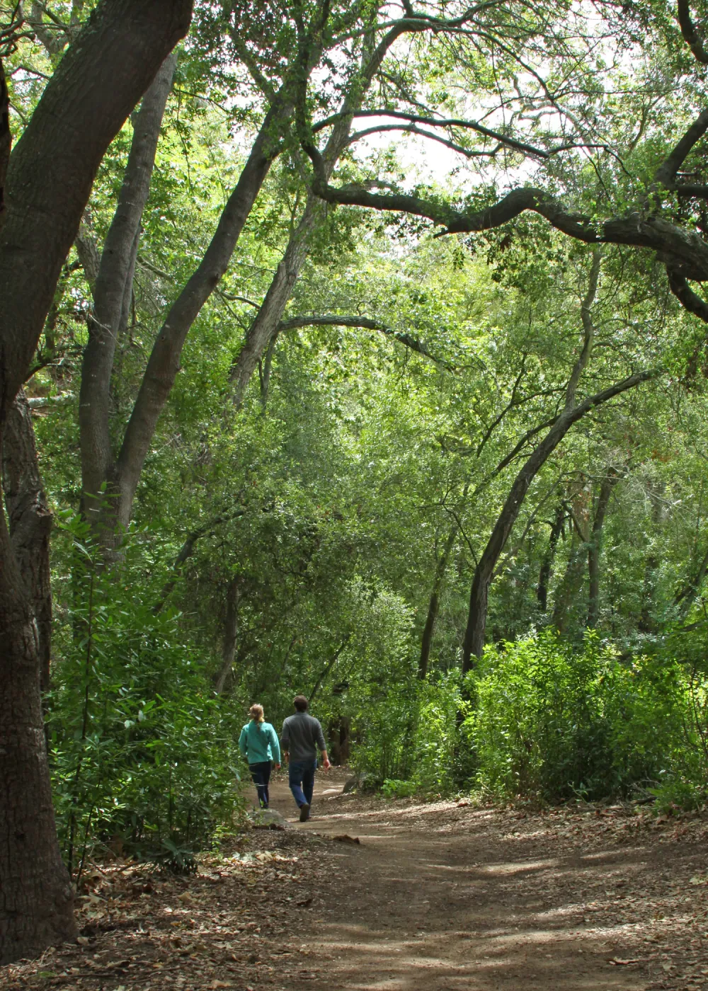 visitors walking on Canyon Trail, SBBG Photo Contest 2012