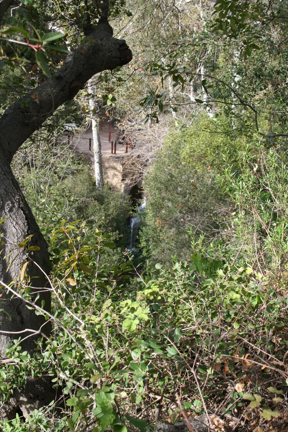 Mission Dam from Meadow Oaks