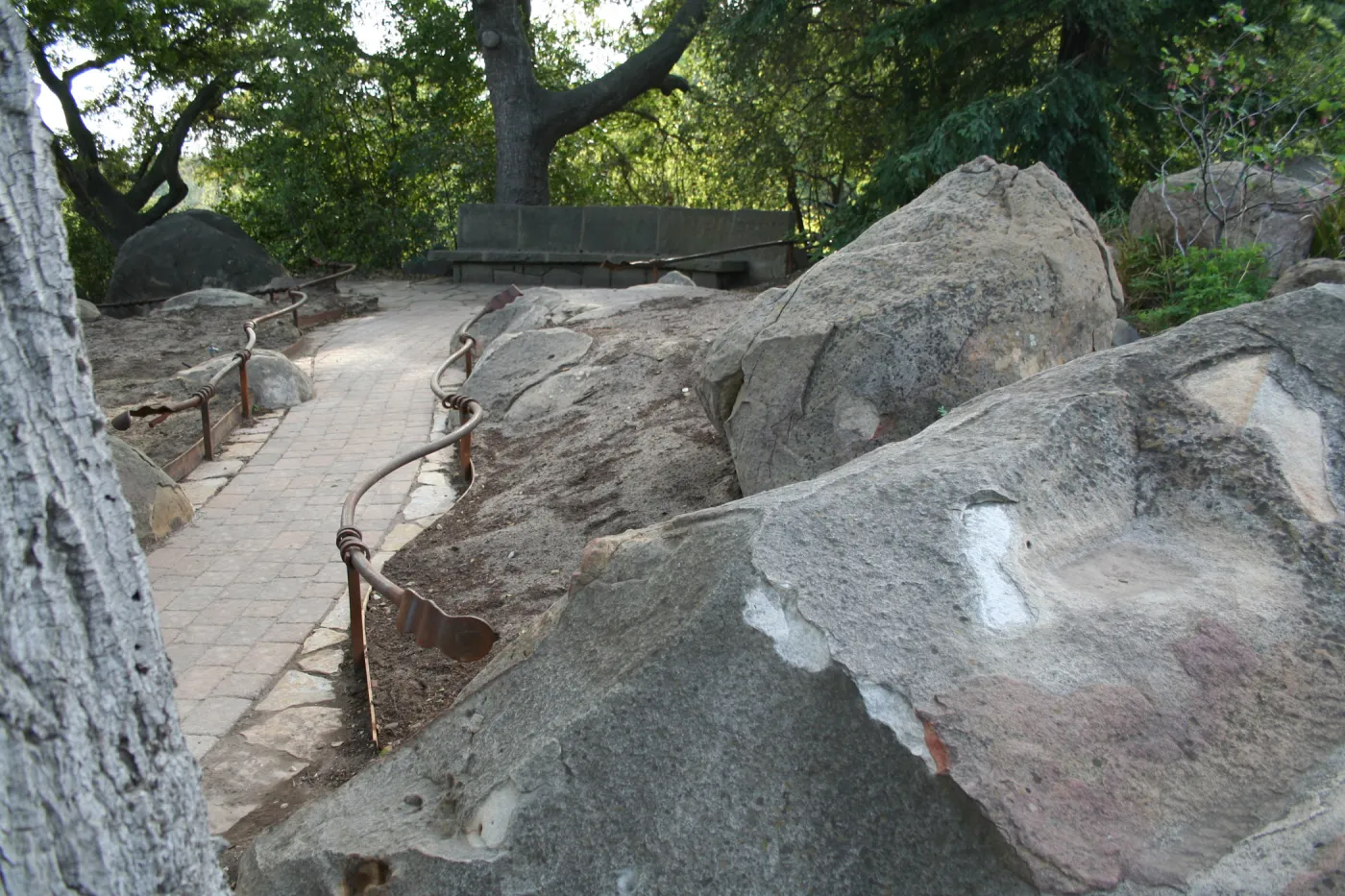 Construction of the Orchid Display