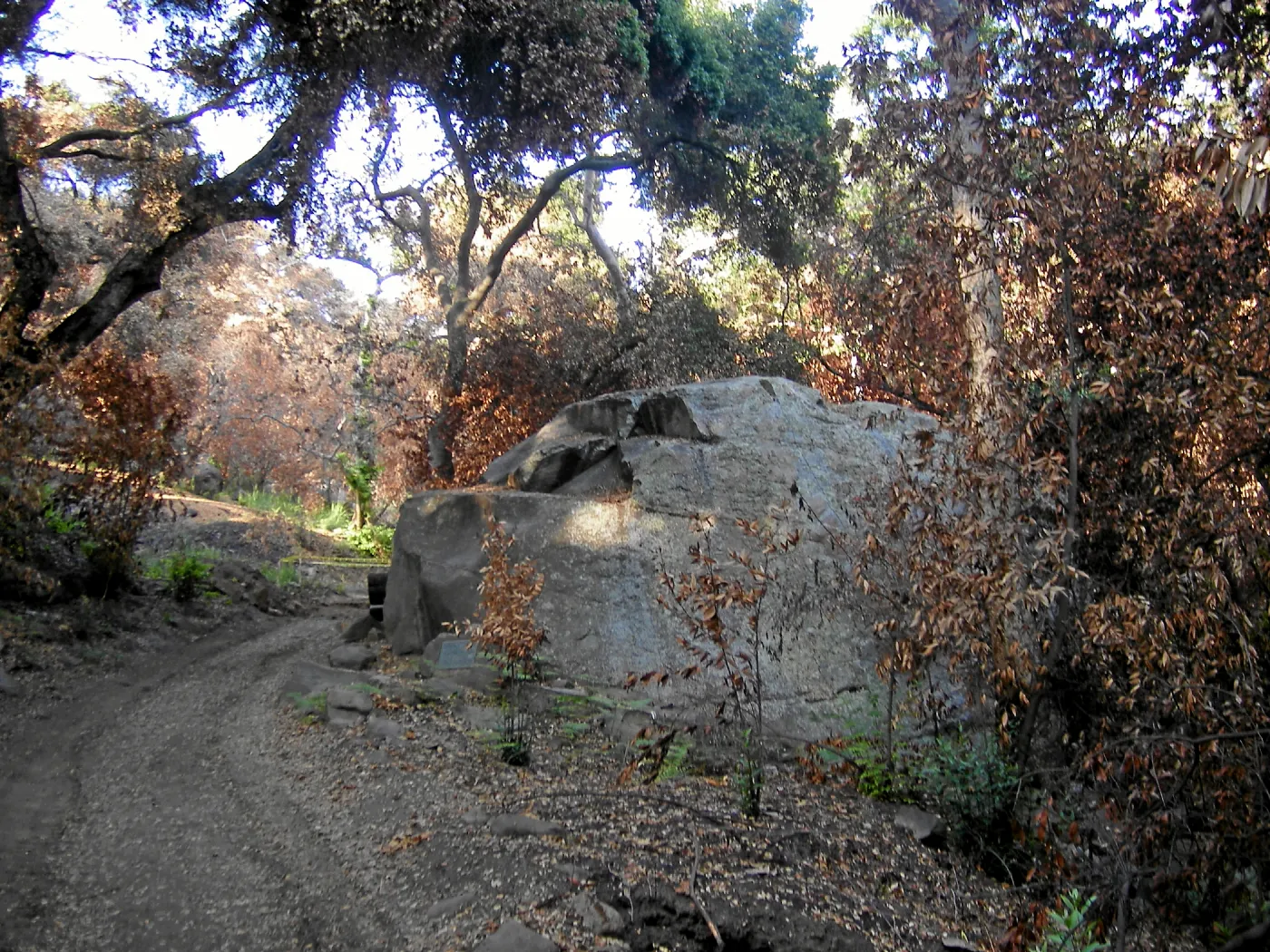 Fire damage in the Canyon, Lassiter Boulder