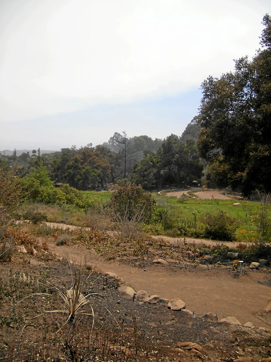 Jesusita Fire damage, Meadow View