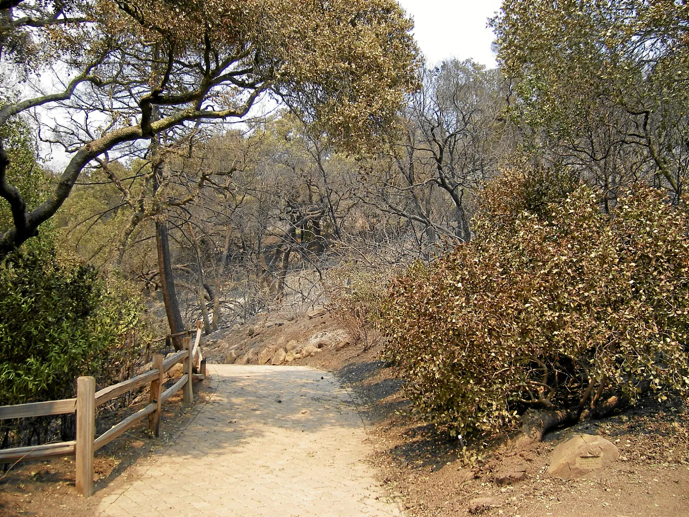 Jesusita Fire, top of the Woodland Trail